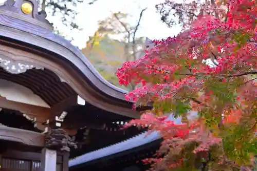 高幡不動尊　金剛寺(東京都)