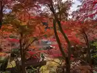 長壽寺(長寿寺)(神奈川県)