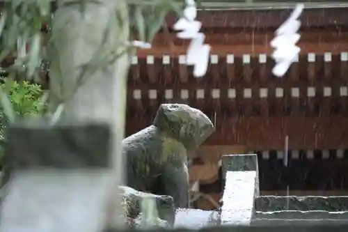 阿久津「田村神社」（郡山市阿久津町）旧社名：伊豆箱根三嶋三社の狛犬