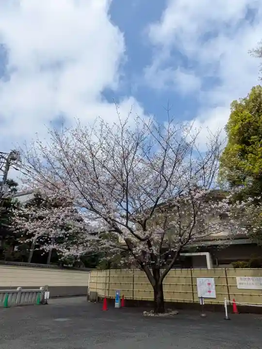 阿佐ヶ谷神明宮(東京都)