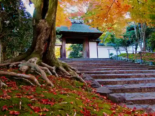 安楽寺(京都府)