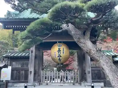 長谷寺の山門・神門