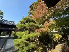 伊勢の国 四天王寺(三重県)