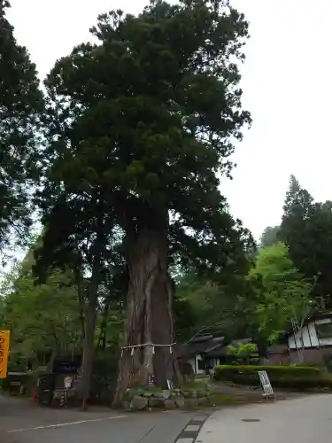 戸隠神社中社(長野県)