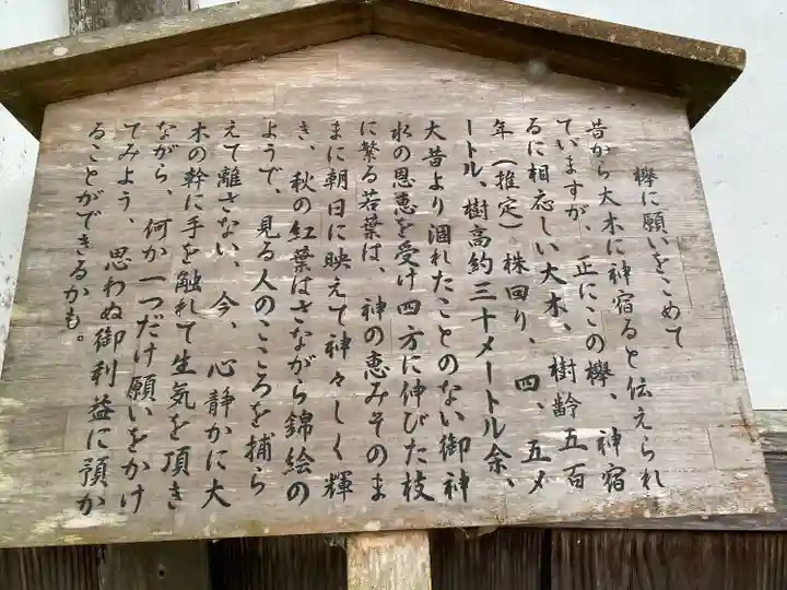 丹生川上神社(下社)(奈良県)