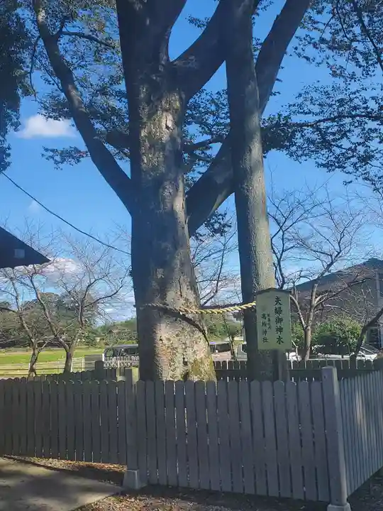 高椅神社の自然