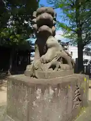 栗原氷川神社の狛犬