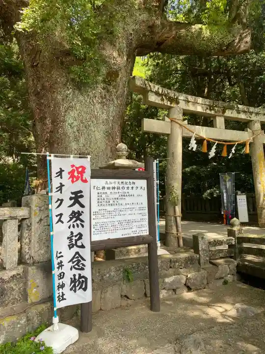 仁井田神社の{uncategorized: "未分類", other: "その他", undefined: "問題あり", building: "その他建物", grave: "お墓", sacred_gate: "鳥居", guardian: "狛犬", statue: "像", buddha: "仏像", history: "歴史", nature: "自然", garden: "庭園", animal: "動物", pagoda: "塔", temizu: "手水舎", mountain_gate: "山門・神門", sanctuary: "本殿・本堂", subordinate: "末社・摂社", art: "芸術", scenery: "景色", jizo: "地蔵", ema: "絵馬", goshuin: "御朱印", omikuji: "おみくじ", items: "授与品その他", amulet: "お守り", goshuincho: "御朱印帳", eats: "食事", festival: "お祭り", votive_dance: "神楽", shichigosan: "七五三参", wedding: "結婚式", experience: "体験その他", initially: "初詣", around: "周辺", anti_infection: "感染症対策"}