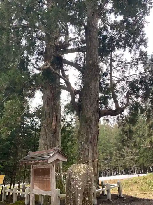 岩手山神社の建物その他