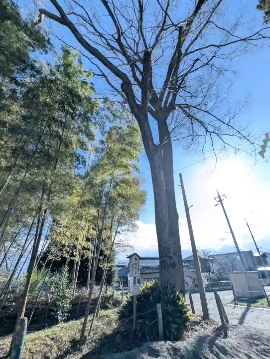 賀茂神社の{uncategorized: "未分類", other: "その他", undefined: "問題あり", building: "その他建物", grave: "お墓", sacred_gate: "鳥居", guardian: "狛犬", statue: "像", buddha: "仏像", history: "歴史", nature: "自然", garden: "庭園", animal: "動物", pagoda: "塔", temizu: "手水舎", mountain_gate: "山門・神門", sanctuary: "本殿・本堂", subordinate: "末社・摂社", art: "芸術", scenery: "景色", jizo: "地蔵", ema: "絵馬", goshuin: "御朱印", omikuji: "おみくじ", items: "授与品その他", amulet: "お守り", goshuincho: "御朱印帳", eats: "食事", festival: "お祭り", votive_dance: "神楽", shichigosan: "七五三参", wedding: "結婚式", experience: "体験その他", initially: "初詣", around: "周辺", anti_infection: "感染症対策"}