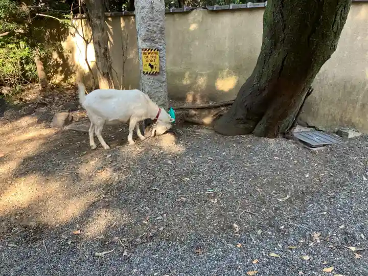 水稲荷神社(東京都)
