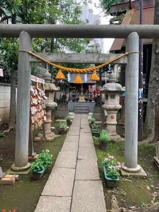 高円寺氷川神社の鳥居