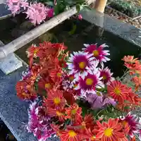 高司神社〜むすびの神の鎮まる社〜(福島県)