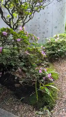 尊陽院(京都府)