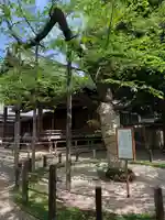 靖國神社の庭園