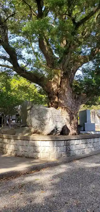 鶴谷八幡宮の自然