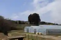 鹿股神社の景色