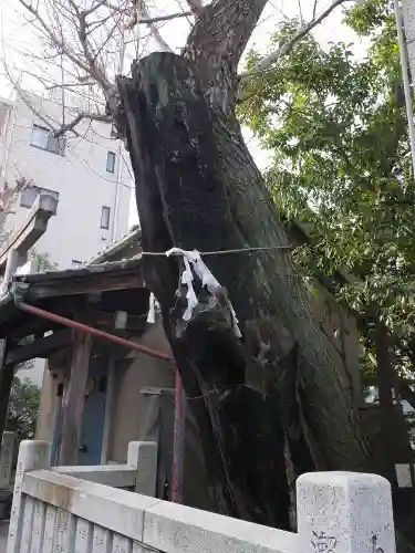 江島杉山神社のその他建物