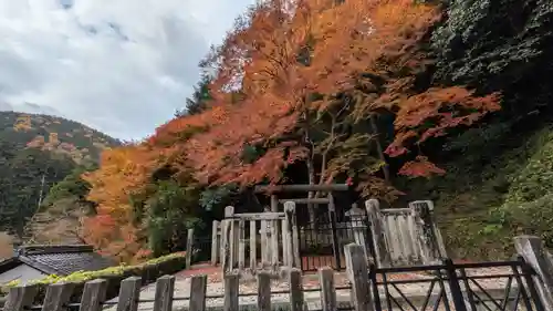 高倉天皇皇后　大原西陵(京都府)