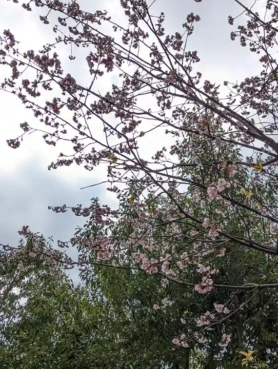 蓮華王院(三十三間堂)(京都府)