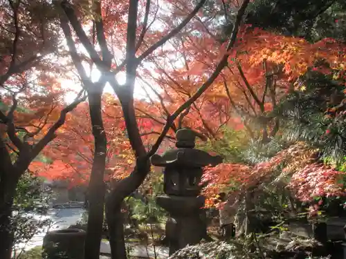 覚園寺の庭園