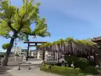 大宮神社の{uncategorized: "未分類", other: "その他", undefined: "問題あり", building: "その他建物", grave: "お墓", sacred_gate: "鳥居", guardian: "狛犬", statue: "像", buddha: "仏像", history: "歴史", nature: "自然", garden: "庭園", animal: "動物", pagoda: "塔", temizu: "手水舎", mountain_gate: "山門・神門", sanctuary: "本殿・本堂", subordinate: "末社・摂社", art: "芸術", scenery: "景色", jizo: "地蔵", ema: "絵馬", goshuin: "御朱印", omikuji: "おみくじ", items: "授与品その他", amulet: "お守り", goshuincho: "御朱印帳", eats: "食事", festival: "お祭り", votive_dance: "神楽", shichigosan: "七五三参", wedding: "結婚式", experience: "体験その他", initially: "初詣", around: "周辺", anti_infection: "感染症対策"}