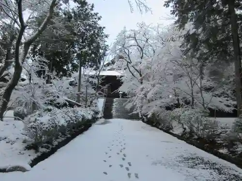 園城寺（三井寺）(滋賀県)