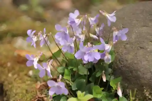 阿邪訶根神社の自然