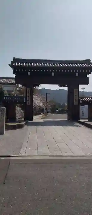 くろ谷 金戒光明寺(京都府)