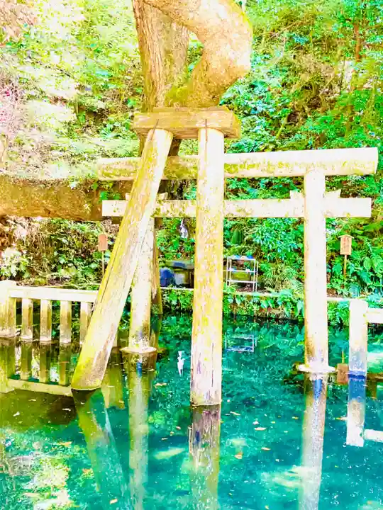 鹿島神宮(茨城県)