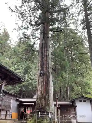 日枝神社(岐阜県)