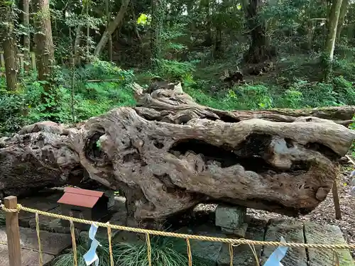 泉神社(茨城県)