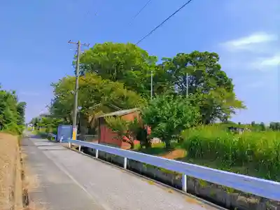 熱田社（西溝口）の自然