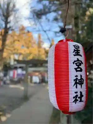 下野 星宮神社(栃木県)