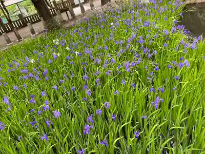 菅原神社(岡山県)