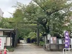 亀戸 香取神社の鳥居