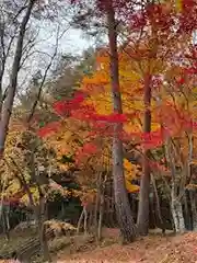 日枝神社(岐阜県)