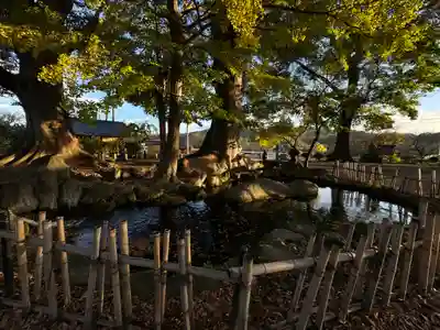 白鳥神社(長野県)