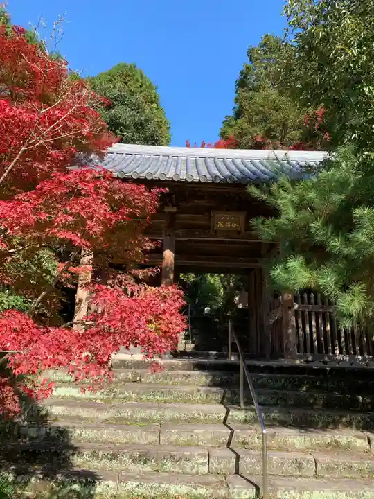 伽耶院の山門・神門