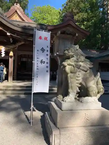 白山比咩神社の狛犬