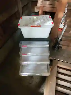 矢背負稲荷神社のその他建物