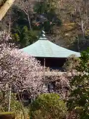 瑞泉寺(神奈川県)