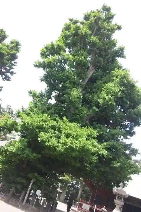 勝福寺(神奈川県)