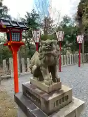 吉田神社の狛犬