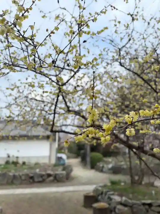 石光寺の{uncategorized: "未分類", other: "その他", undefined: "問題あり", building: "その他建物", grave: "お墓", sacred_gate: "鳥居", guardian: "狛犬", statue: "像", buddha: "仏像", history: "歴史", nature: "自然", garden: "庭園", animal: "動物", pagoda: "塔", temizu: "手水舎", mountain_gate: "山門・神門", sanctuary: "本殿・本堂", subordinate: "末社・摂社", art: "芸術", scenery: "景色", jizo: "地蔵", ema: "絵馬", goshuin: "御朱印", omikuji: "おみくじ", items: "授与品その他", amulet: "お守り", goshuincho: "御朱印帳", eats: "食事", festival: "お祭り", votive_dance: "神楽", shichigosan: "七五三参", wedding: "結婚式", experience: "体験その他", initially: "初詣", around: "周辺", anti_infection: "感染症対策"}
