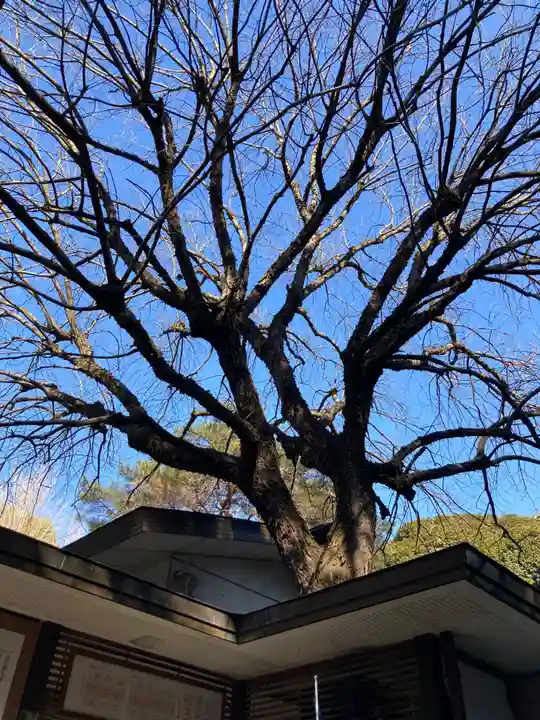 乃木神社(東京都)