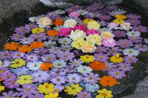 田村神社の手水