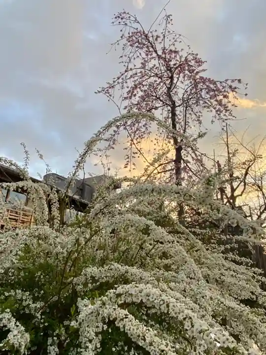 祇園白川辨戝天社(京都府)