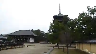 興福寺のその他建物