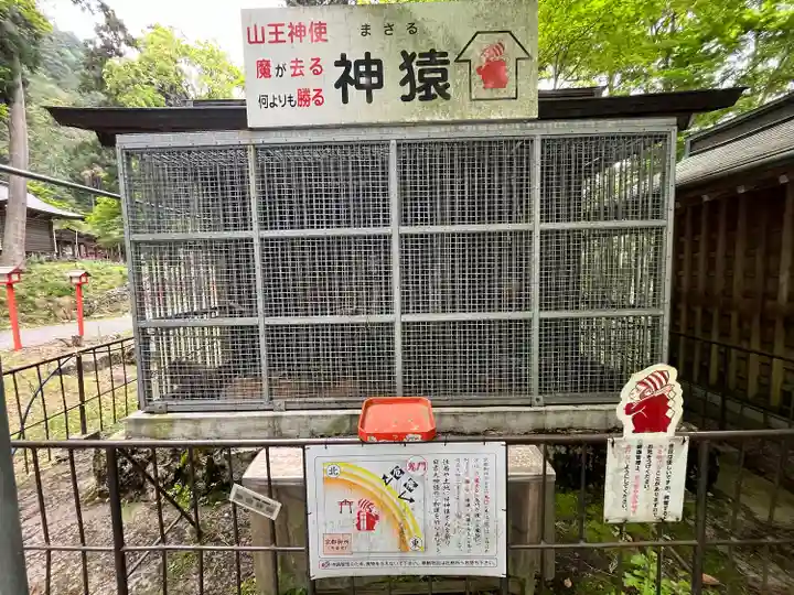 日吉大社(滋賀県)